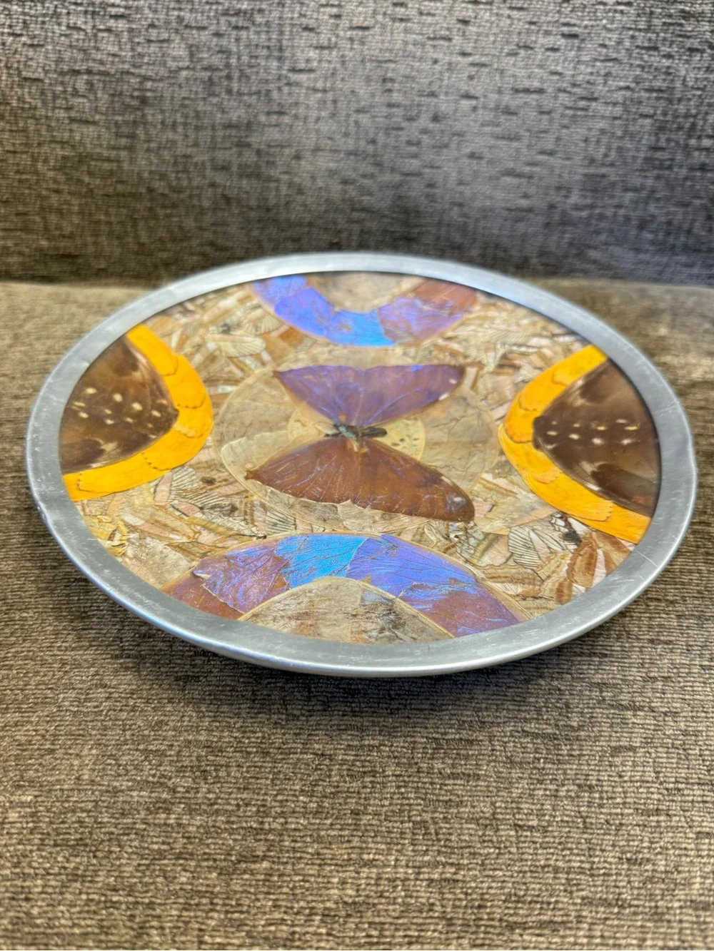 Vintage Brazilian Morpho Iridescent Blue Butterfly Wing and Feather Wall Art.